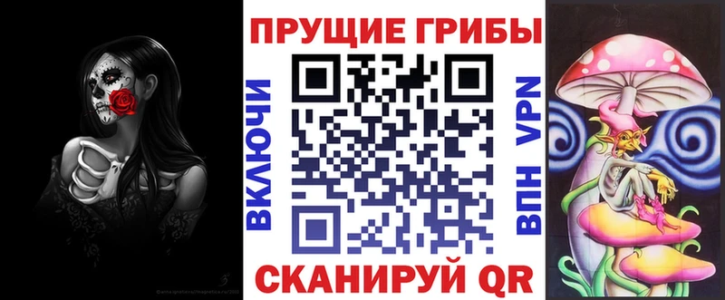 хочу   Кимры  Галлюциногенные грибы мицелий 